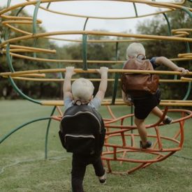 56164041_2228582293871056_1283979498181623808_n